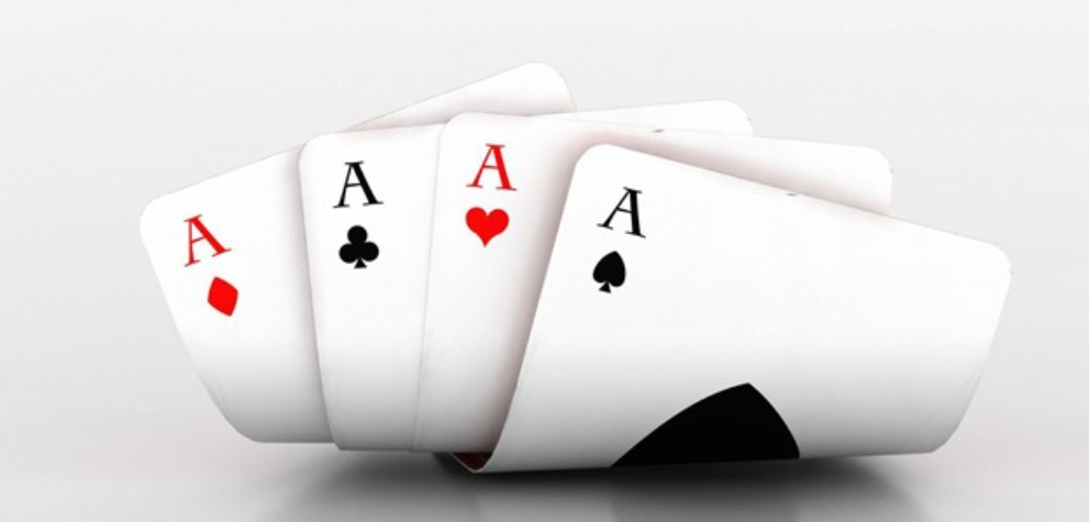 Are you a novice or experience rummy player